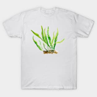 Aquarium Plants Series Java Fern T-Shirt